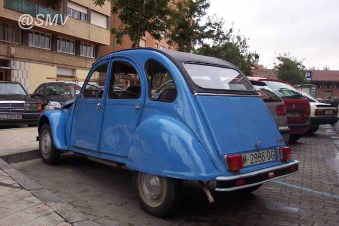 DCP_2376.JPG