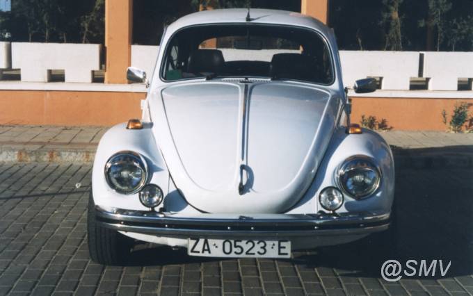 Escarabajo_ZA-0523-E_01.jpg