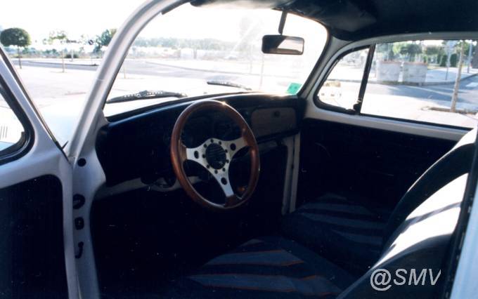 Escarabajo_ZA-0523-E_03.jpg