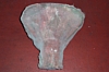 DCP_4313.JPG