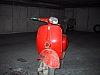 IMG_1445.jpg