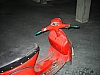 IMG_1448.jpg