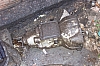 DCP_5292.jpg
