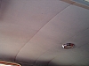 DSC01915.jpg