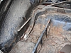 Seat1400AJoaquin_34.jpg