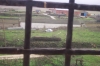DCP_3204.JPG