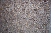 DCP_6975.JPG
