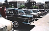 OSORNO 2.gif
