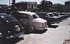 OSORNO 3.gif