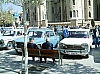 foto1.jpg