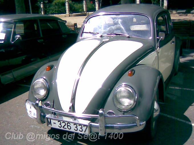 Imagen040.jpg