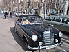 IMG_1774.jpg