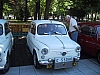 IMG_2599.jpg