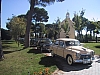 IMG_2951.jpg