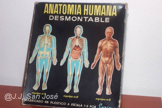 ANATOMIA HUMANA SERIMA 002.jpg