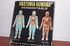 ANATOMIA HUMANA SERIMA 002.jpg
