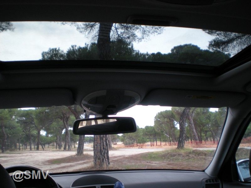 DSCN6432.jpg
