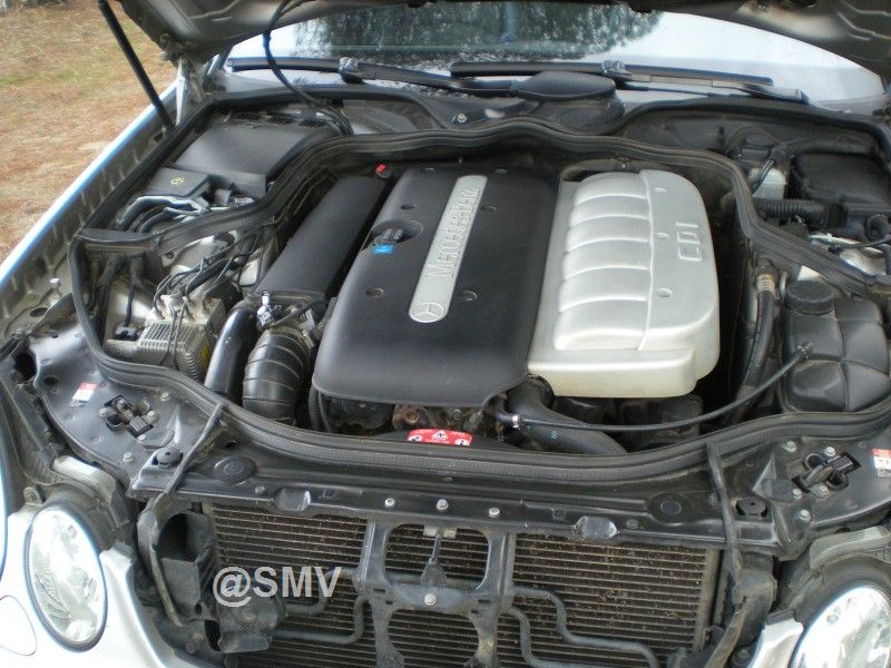 DSCN6443.jpg