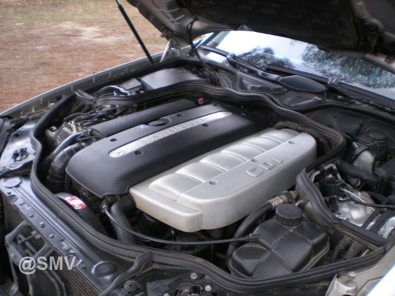 DSCN6444.jpg