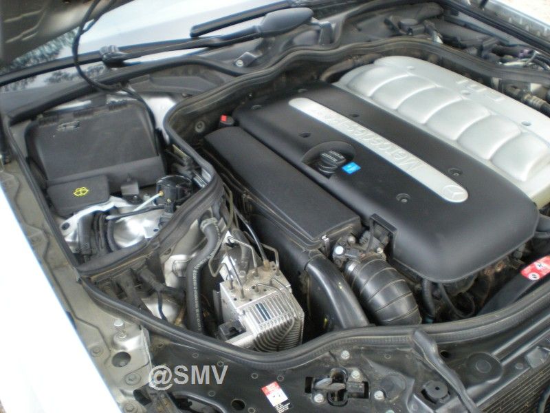 DSCN6445.jpg