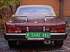 DSC01828.jpg
