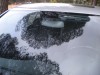 DSCN6446.jpg