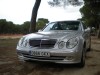 t_M-226861 Mercedes_1.jpg
